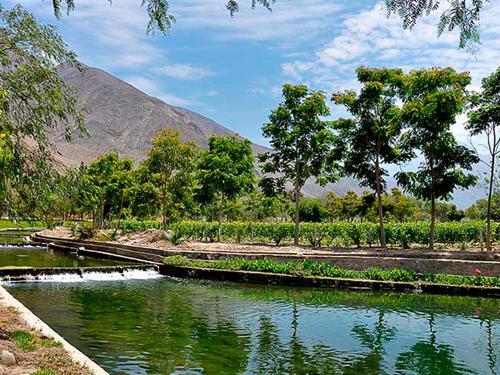 Guizado Portillo Hacienda & Resort Lunahuaná المظهر الخارجي الصورة